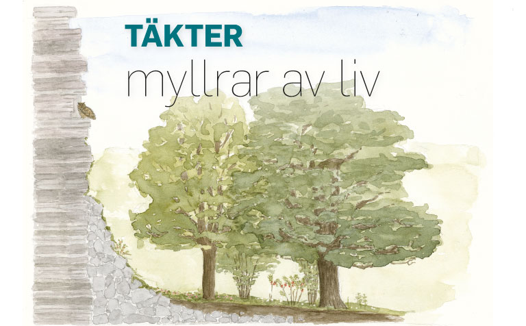 takter-myllrar-av-liv-1